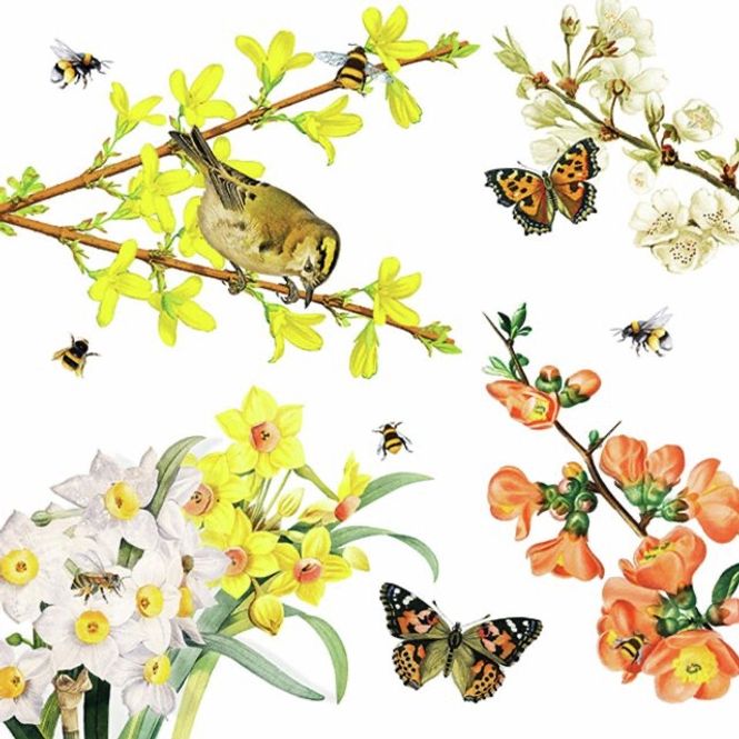 Hovedbilde Napkin Lunsj Spring Awakening
