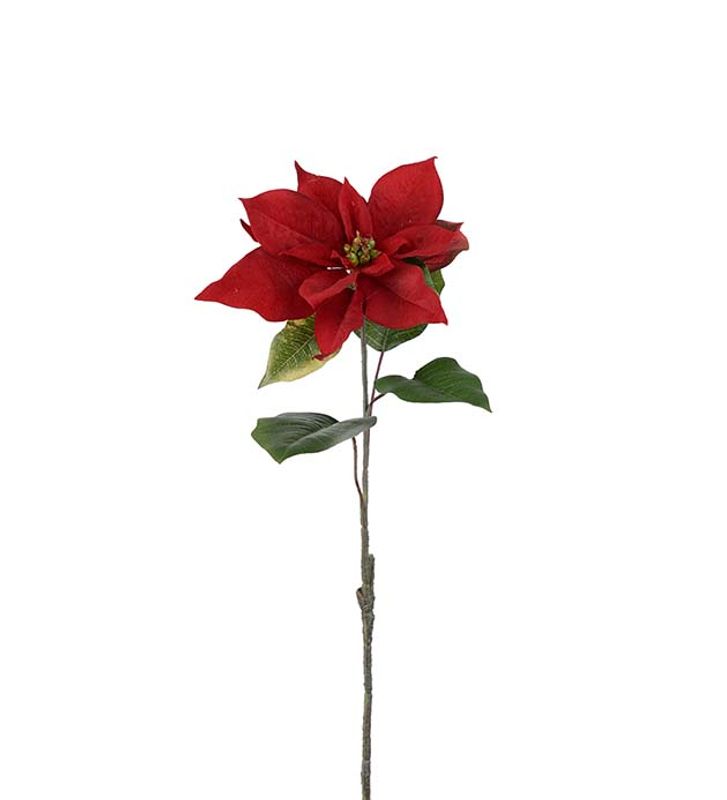 Julestjerne rød 50 cm 