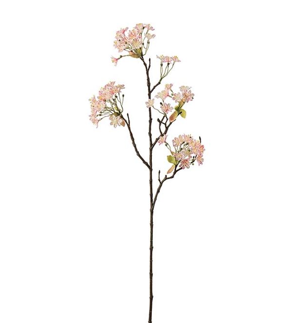 Hovedbilde Lønnblomst 70 cm 
