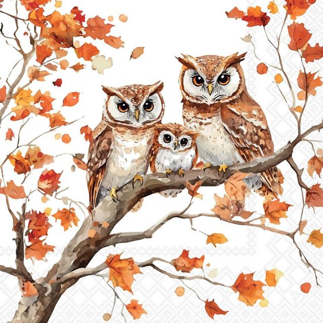 Hovedbilde Servietter Kaffe Family of owls
