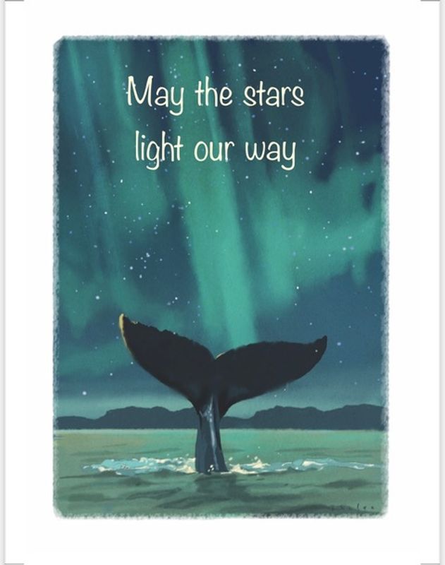 Anne Cathrine Rosendal - May the stars light our way 