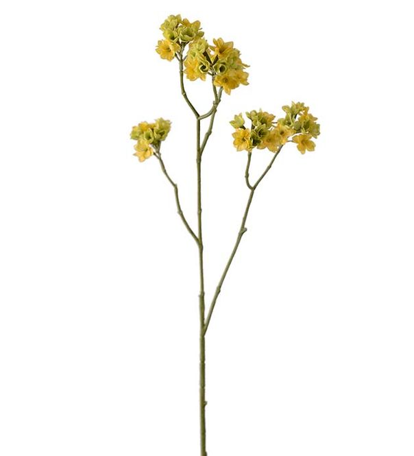 Hovedbilde Blomkvist Gul 80 cm 