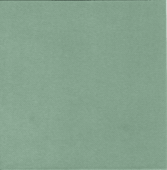 Hovedbilde UNI dusty green Tekstil touch Midddags serviett 