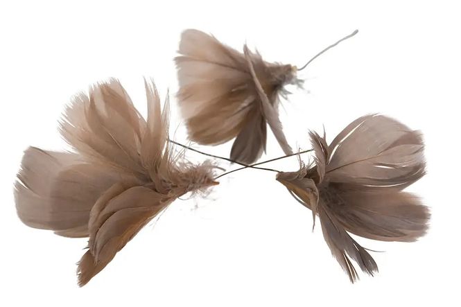 Hovedbilde Brune fjær, formet som blomst 12 pk. 