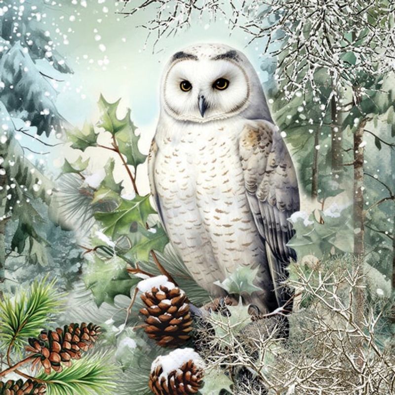 Servietter lunsj - Snowy owl 